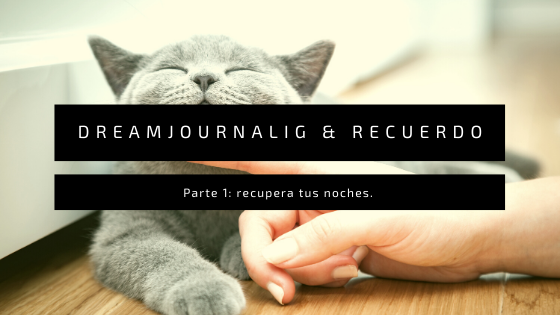 Dreamjournaling & Recuerdo.