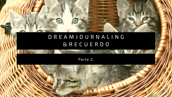 Dreamjournaling & Recuerdo. (2)